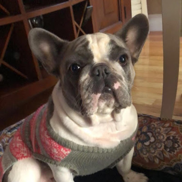 Profile Picture of Maya Polanish (@mayapolanish) on Poshmark