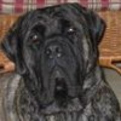 Profile Picture of Dan Muraski (@dmuraski) on Twitter