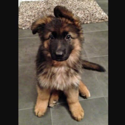 Profile Picture of Isaiah Fleming (@IsaiahFleming9) on Twitter