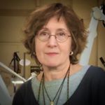 Profile Photo of Susan Barth (@susannyc56) on Instagram