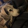 Profile Picture of Chad Holley (@@stonewalle) on Tiktok