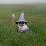 Profile Picture of Grant Cummings (@grantthegrey) on Instagram