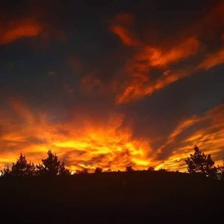 Profile Picture of john malinowski (@solitude_dude_1) on Instagram