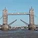 Profile Picture of terry styles (@terrystylests65) on Pinterest