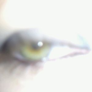 Profile Picture of Jade Garrett (@honeydrippin) on Myspace