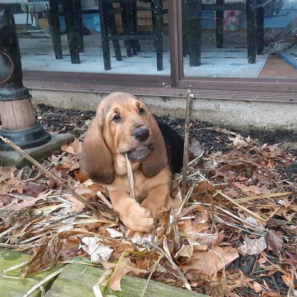 Profile Picture of Mary Zitek (@znutrageous) on Poshmark