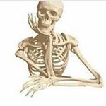 Profile Picture of Scott Sharkey (@_ssharkey_) on Instagram
