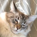Profile Picture of Brendan Schwartz (@brendan_.schwartz) on Instagram