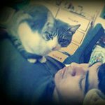 Profile Picture of Joseph Haase Galvan (@haasenstein) on Instagram