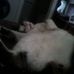 Profile Picture of Paul Keller (@paul.keller.315) on Facebook