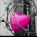 Profile Picture of Dawnie Rudolph (@dawnie.rudolph) on Facebook