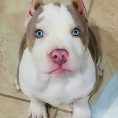 Profile Picture of Rogelio Ramon Ramon (@RogelioRamonRa1) on Twitter