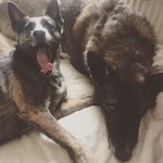 Profile Picture of Bonny & Brendan (@bonnyandbrendan) on Instagram