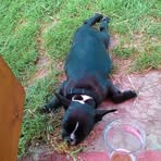 Profile Picture of Antonín Srba (@antonin.srba) on Facebook