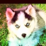 Profile Picture of Pierson (@pierson_clark) on Instagram