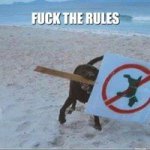 Ashley Simmonds - Instagram Profile Picture of Ashley Simmonds (@justavinalarf) on Instagram