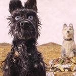 Profile Picture of bradley.nock (@bradley.nock) on Instagram