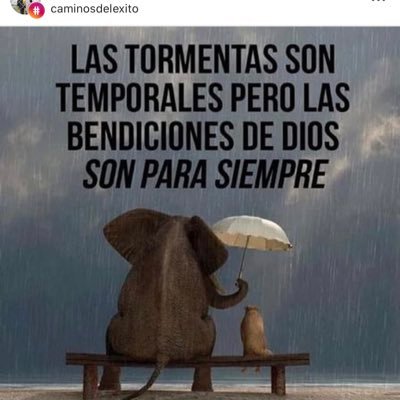Profile Picture of Orfa Nelly Quintero (@OrfaNellyQuint1) on Twitter