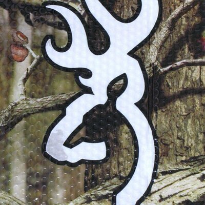 Profile Picture of Amanda (@amanda_sechrest) on Twitter