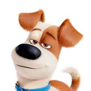 Profile Picture of scottshansky5 (@scottshansky5) on Tiktok