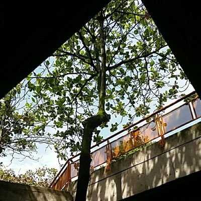 Profile Picture of Joshua Mateo Quiroz (@joshmmstein1) on Twitter