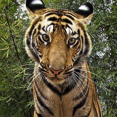 Profile Picture of Robert Lemelin (@lemelinrobert) on Twitter