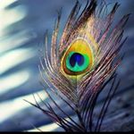 Profile Picture of shraddha patel (@sreya3551) on Instagram