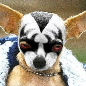 Profile Picture of Cindy Munroe (@sharkmama41) on Myspace