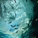 Profile Picture of Xiaofen Ye (@Xiaofen-Ye) on Facebook