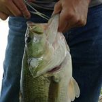 Profile Picture of Owen Conrad (@conrad_owen) on Instagram