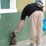 Profile Picture of Andrew Colquhoun (@flosster72) on Instagram