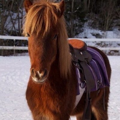 Profile Picture of Baron Og Ida (@baronogida) on Twitter