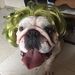 Profile Picture of Carlos Ernesto Sanchez (@riddler_6662000) on Pinterest