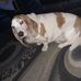 Profile Picture of Elvis Tuttle (@elvis.tuttle.56) on Facebook