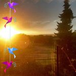 Profile Picture of Wilma Keller (@wilma.keller.319) on Instagram