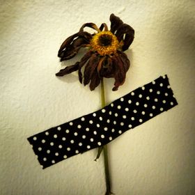 Profile Picture of jeannie joseph (@croworc) on Pinterest