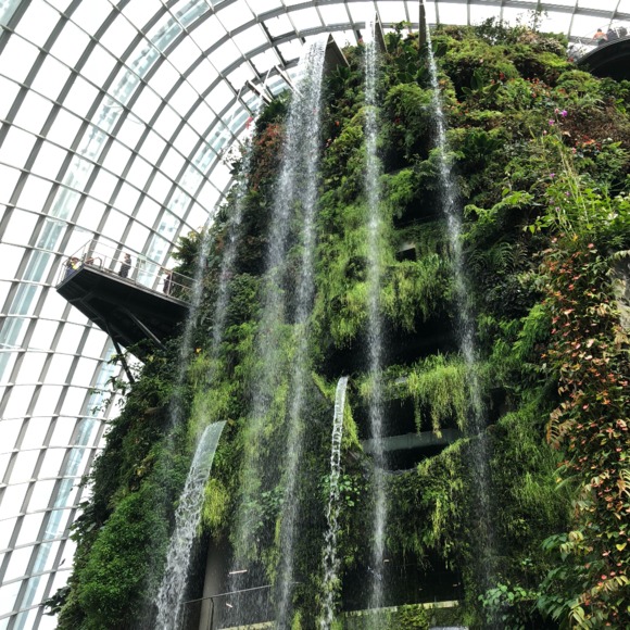 Profile Picture of Flyposh Fly (@flyj52) on Poshmark