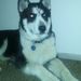 Profile Picture of Bryan Findlay (@bryanfindlay) on Pinterest