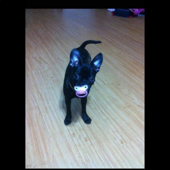 Angie Elphick - Poshmark Profile Picture of Angie Elphick (@angie_elphick) on Poshmark