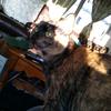 Profile Picture of Michelle Mock (@@michellemock7) on Tiktok