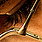 Profile Picture of Javad Pour Mala'ekeh (@javad.po) on Flickr