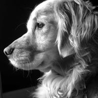 Profile Picture of Cindy Bradley Hines (@cindy-bradley-hines) on Quora