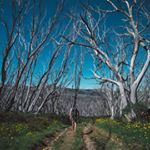 Profile Picture of Mike Shankster (@mike_shankster) on Instagram