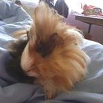 Profile Picture of Robert Waskiewicz (@robert.waskiewicz74) on Instagram
