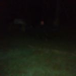 Profile Picture of nicky dave maroon thornburg (@davidthornburg.37bbb) on Instagram