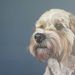Profile Picture of Clare Vincent (@clare7748) on Pinterest