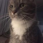 Profile Picture of Lori Swaney (@lorijeanswan) on Instagram