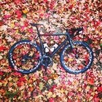 Profile Picture of James Hyatt (@whywastetime) on Instagram