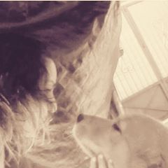 Profile Picture of Doris Almonte (@dorisalmonte1) on Tiktok