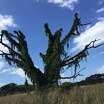 Profile Picture of Juan Borrego (@borrego.258) on Instagram